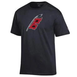 Champion Carolina Hurricanes Warning Flag's Black T-shirt(Carolina Hurricanes Warning Flags Black T Shirt)
